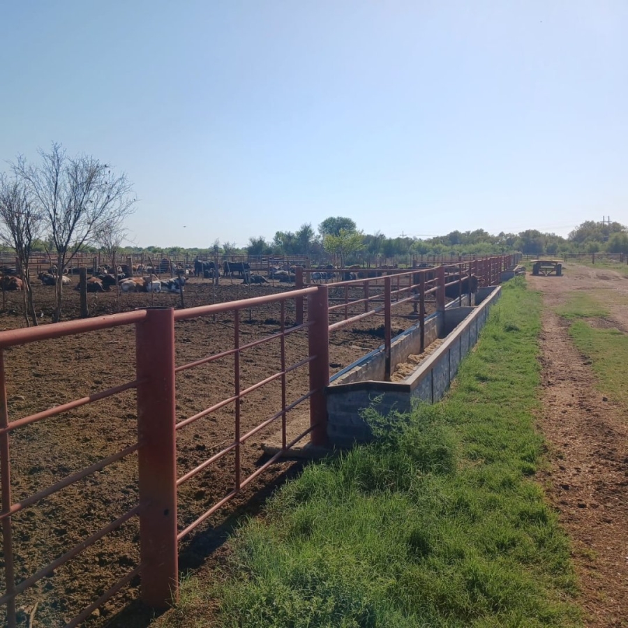 3 Bedroom Property for Sale in Barkly West Rural Northern Cape